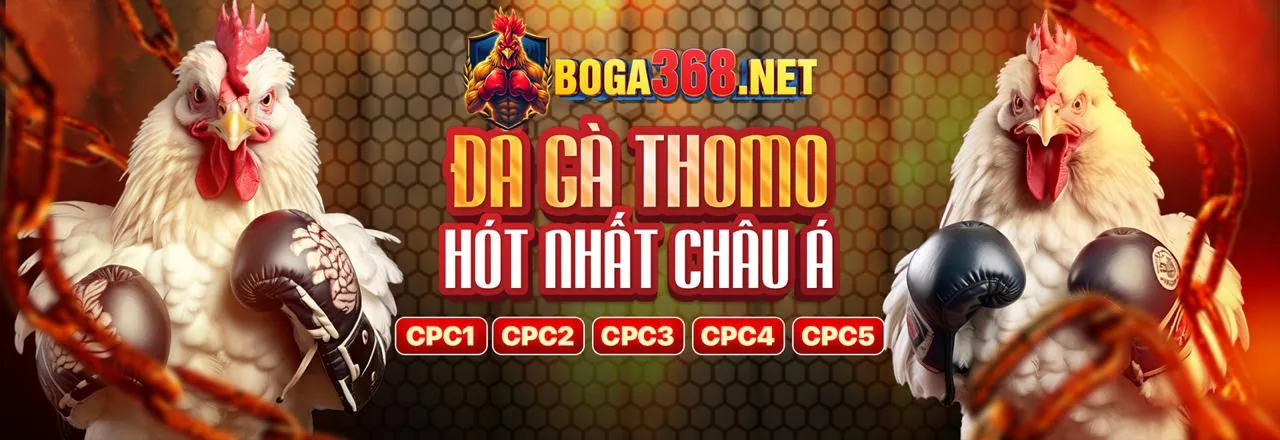 Giao diện cá cược thể thao 6789zone