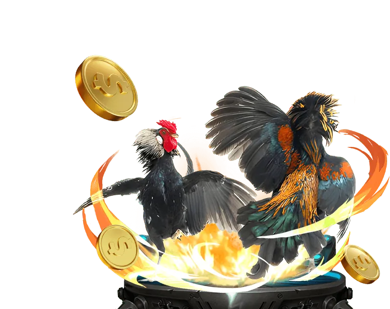 Cam kết an toàn và công bằng tại 6789zone